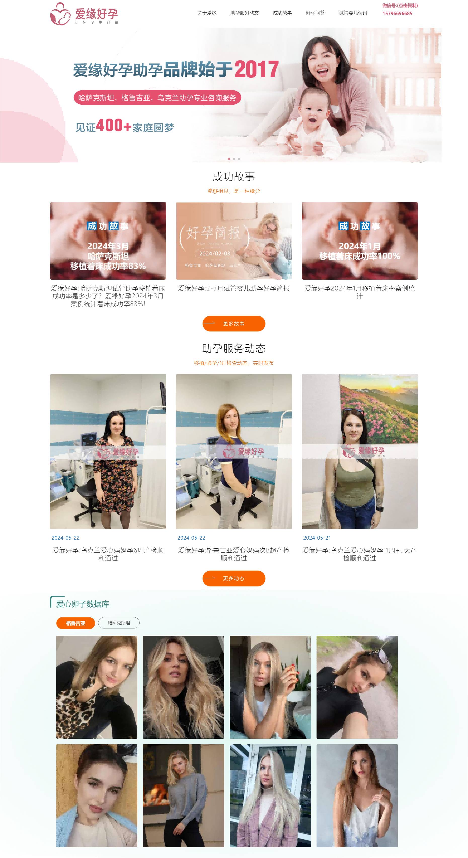 愛緣好孕品牌網(wǎng)站建設(shè)案例